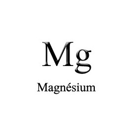 Electrode Magnésium, Mg 2
