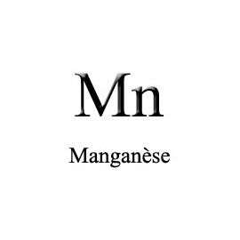 Electrode Manganèse, Mn 2