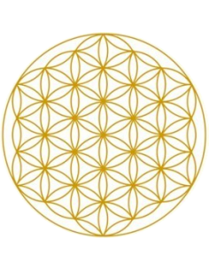 Carafe Alladin Gold et 4... 2