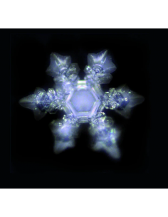 Verre à onde de forme et... 2