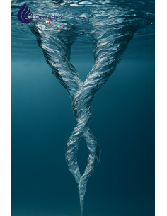 Double vortex Osmodyn 2
