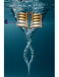 Double vortex Osmodyn 2