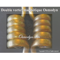 Dynamisation double vortex 15x21