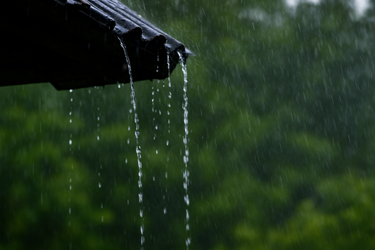 Quelle filtration choisir pour votre eau de pluie ou de forage ?