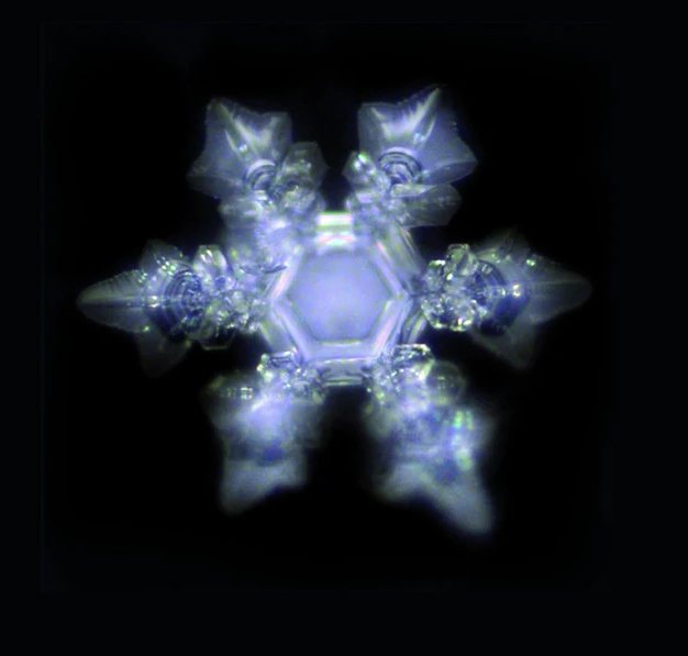 Shape wave and flower of life glass - lead-free