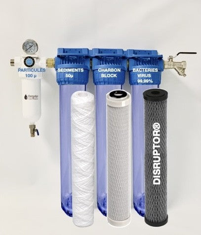 Station DISRUPTOR® TRIO 20 : filtration eau de pluie, puits, 20"