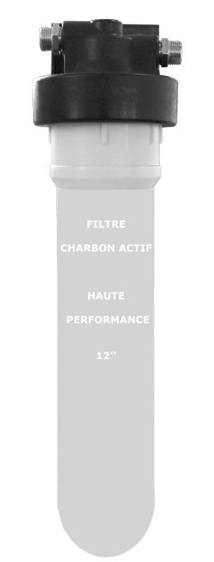 Filtre déchlorinateur 5μ