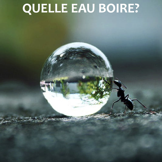 Quelle eau boire?