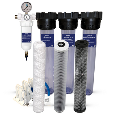 Station DISRUPTOR® TRIO 20 : filtration eau de pluie, puits, 20"